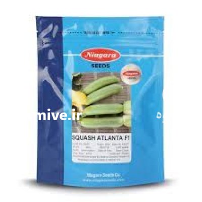 قیمت بذر کدو آتلانتا قیمت بذر در کرمانشاه در گروه خرید و فروش بذر کدو در یکمیوه -عکس2