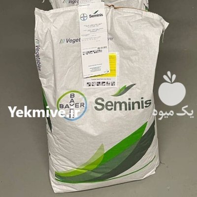 قیمت بذر ذرت مسنجر فروش بذر در بندرگز در گروه خرید و فروش بذر ذرت در یکمیوه -عکس1