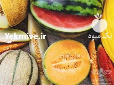 فروش بذر خربزه شاپور قیمت بذر در اراک در گروه خرید و فروش بذر خربزه در یکمیوه -عکس2