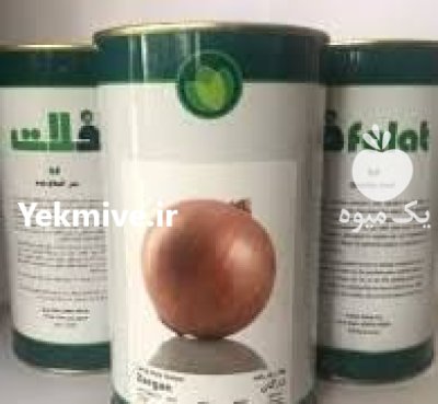 بذر پیاز فلات اصل در اهواز در گروه خرید و فروش بذر پیاز در یکمیوه -عکس1