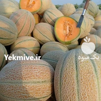 قیمت بذر ملون جانا در جوانرود در گروه خرید و فروش بذر ملون در یکمیوه -عکس2