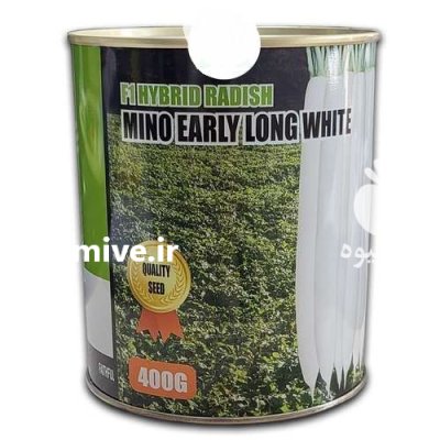 قیمت بذر تربچه سفید ارل لانگ در آسارا در گروه خرید و فروش بذر سبزی در یکمیوه -عکس1