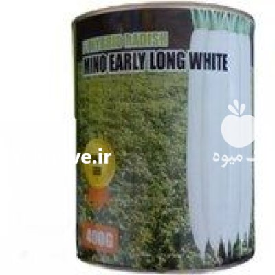 قیمت بذر تربچه سفید ارل لانگ در آسارا در گروه خرید و فروش بذر سبزی در یکمیوه -عکس2