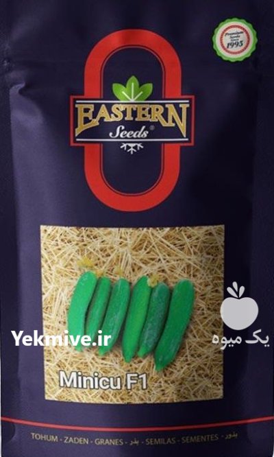 بذر خیار مینیکو در بار  در گروه خرید و فروش بذر خیار در یکمیوه -عکس1
