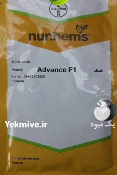 فروش بذر گوجه فرنگی ادونس در اقلید در گروه خرید و فروش بذر گوجه در یکمیوه -عکس1