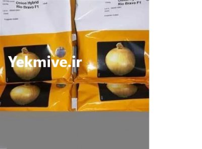 قیمت بذر پیاز ریوبراوو بذر پیاز در بانه در گروه خرید و فروش بذر پیاز در یکمیوه -عکس2