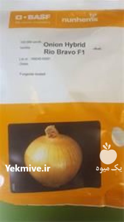 قیمت بذر پیاز ریوبراوو بذر پیاز در بانه در گروه خرید و فروش بذر پیاز در یکمیوه -عکس3