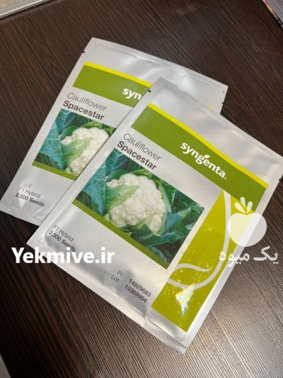 بذر گل کلم اسپیس استار در سرمست در گروه خرید و فروش انواع بذر در یکمیوه -عکس1