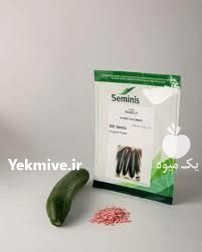 فروش بذر خیار PS 547 با قوه در هشتبندی در گروه خرید و فروش بذر خیار در یکمیوه -عکس1