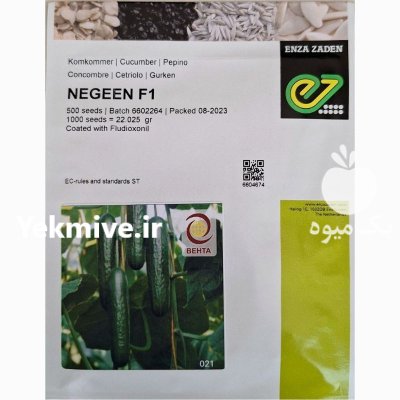 فروش بذر خیار ناگین با تضمین در بوشهر در گروه خرید و فروش بذر خیار در یکمیوه -عکس1