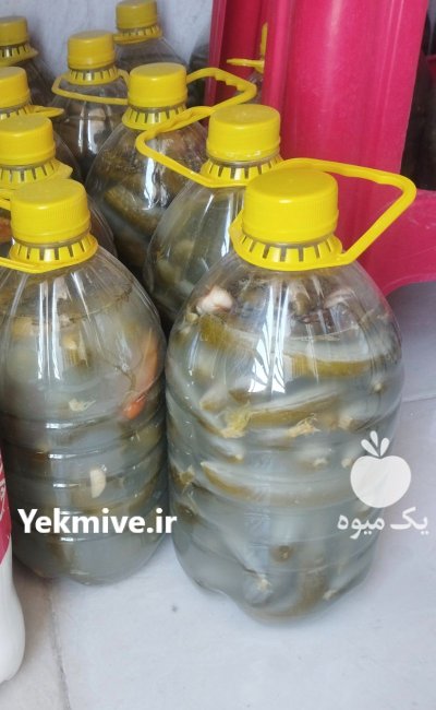 خیار شور در کرج در گروه محصولات ترشی در یکمیوه -عکس1