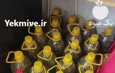 خیار شور در کرج در گروه محصولات ترشی در یکمیوه -عکس2