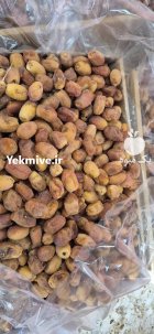 خرمای زاهدی درجه 3 پشت پنگی در بوشهر در گروه خرید و فروش خرما در یکمیوه