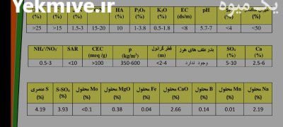 کود کامل گرانوله ارگانیک پیلمن غنی در بهارستان در گروه خرید و فروش کود کامل در یکمیوه -عکس3