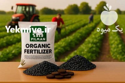 کود کامل گرانوله ارگانیک پیلمن غنی در بهارستان در گروه خرید و فروش کود کامل در یکمیوه -عکس4