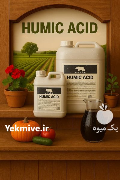 اسید هیومیک مایع در بهارستان در گروه خرید و فروش انواع کود کشاورزی در یکمیوه -عکس2