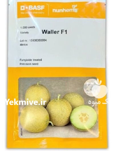 “بذر خربزه والر Waller F 1 ” در آبسرد در گروه خرید و فروش بذر خربزه در یکمیوه -عکس1