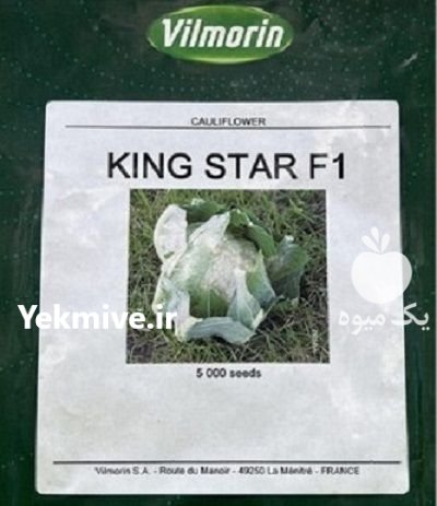 بذر گل کلم فضای باز هیبرید در آسمان آباد در گروه خرید و فروش انواع بذر در یکمیوه -عکس1