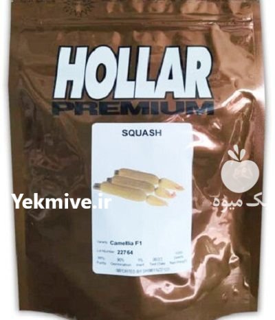 بذر کدو خورشتی کاملیا هولار در بروات در گروه خرید و فروش بذر کدو در یکمیوه -عکس1