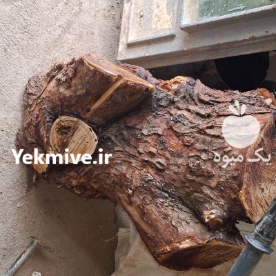 فروش چوب گردو کالباس و چوب در مركزی در گروه خرید و فروش انواع چوب در یکمیوه -عکس1