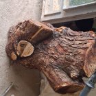 فروش چوب گردو کالباس و چوب در مركزی در گروه خرید و فروش انواع چوب در یکمیوه