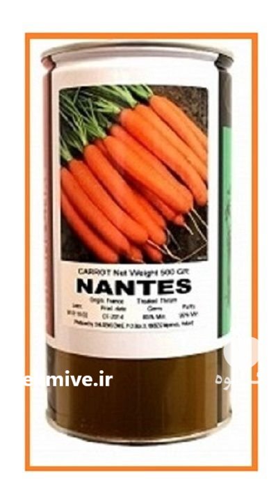 بذر هویج نانتس در چلگرد در گروه خرید و فروش بذر هویج در یکمیوه -عکس1