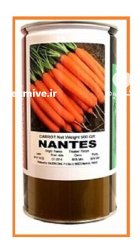 بذر هویج نانتس در چلگرد در گروه خرید و فروش بذر هویج در یکمیوه