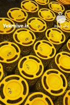 زیتون فروش زیتون در زنجان در گروه خرید و فروش زیتون در یکمیوه