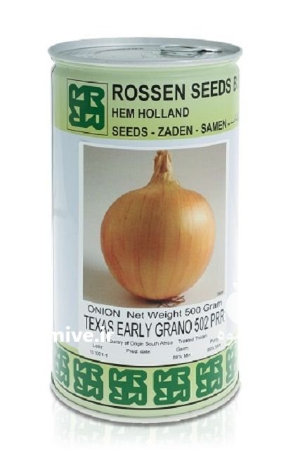 بذر پیاز تگزاس ارلی گرانو روزن در پاکدشت در گروه خرید و فروش بذر پیاز در یکمیوه -عکس1