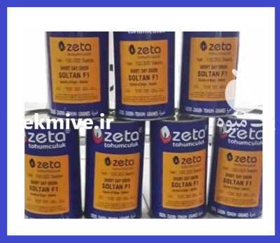 فروش بذر پیاز سمیرا زتا در بانه در گروه خرید و فروش بذر پیاز در یکمیوه -عکس1