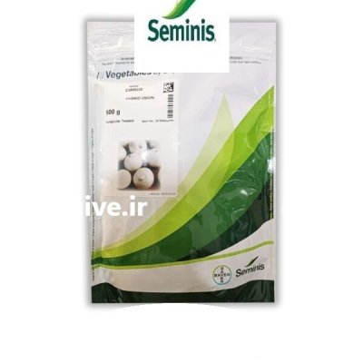 بذر پیاز ساپروس در بندردیر در گروه خرید و فروش بذر پیاز در یکمیوه -عکس1