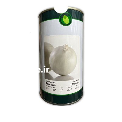 بذر پیاز سفید سپیدان در باغین در گروه خرید و فروش بذر پیاز در یکمیوه -عکس1