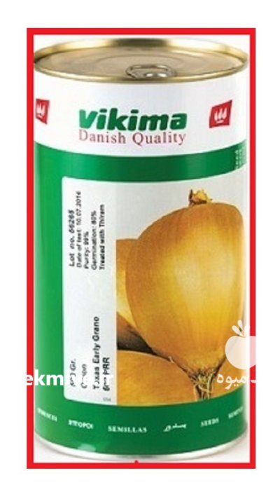 بذر پیاز ویکیما در بلبان آباد در گروه خرید و فروش بذر پیاز در یکمیوه -عکس1