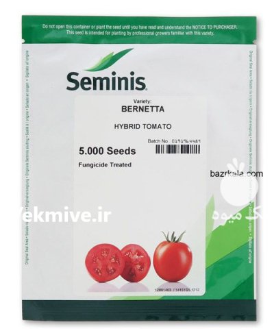 فروش بذر گوجه فرنگی بریویو اصل در مشهد در گروه خرید و فروش بذر گوجه در یکمیوه -عکس1