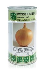 بذر پیاز تگزاس ارلی گرانو روزن در پاکدشت در گروه خرید و فروش بذر پیاز در یکمیوه