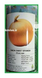 بذر پیاز سوئیت اسپنیش در آبسرد در گروه خرید و فروش بذر پیاز در یکمیوه