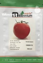 بذر گوجه کاسیو کیفیت تضمینی قیمت در شیراز در گروه خرید و فروش بذر گوجه در یکمیوه