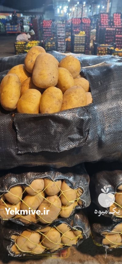 سیب زمینی اردبیل پیاز در آمل در گروه خرید و فروش سیب زمینی در یکمیوه -عکس1