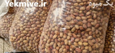 فروش ضایعات خرمای زاهدی در قیروکارزین در شهریار در گروه خرید و فروش خرما در یکمیوه -عکس4