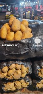 سیب زمینی اردبیل پیاز در آمل در گروه خرید و فروش سیب زمینی در یکمیوه