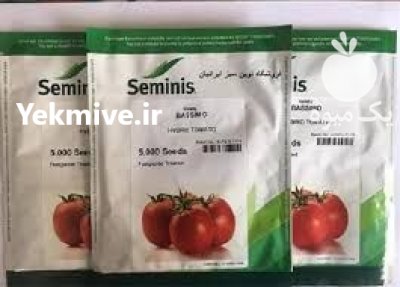 فروش بذر گوجه برنتا اصل در اصفهان در گروه خرید و فروش بذر گوجه در یکمیوه -عکس1