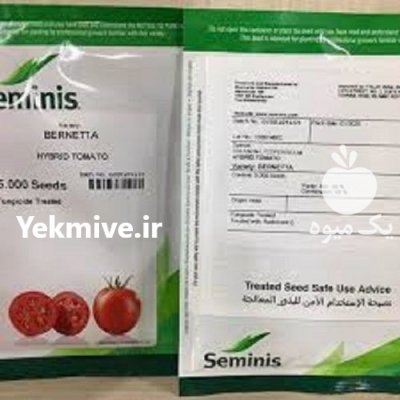 خرید بذر گوجه فرنگی برنتا در جیرفت در گروه خرید و فروش بذر گوجه در یکمیوه -عکس1