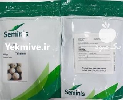 فروش بذر پیاز سایروس با کیفیت در مشهد در گروه خرید و فروش بذر پیاز در یکمیوه -عکس1