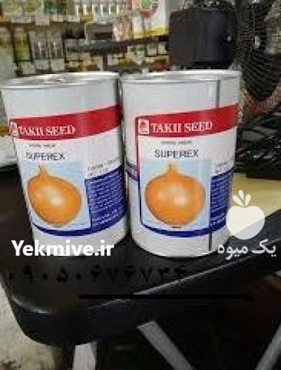 فروش بذر پیاز تاکی اصل در کرمانشاه در گروه خرید و فروش بذر پیاز در یکمیوه -عکس1