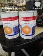 فروش بذر پیاز تاکی اصل در کرمانشاه در گروه خرید و فروش بذر پیاز در یکمیوه