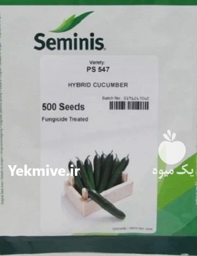 بذر خیار رویال اصلاح شده مناسب در مشهد در گروه خرید و فروش بذر خیار در یکمیوه -عکس1