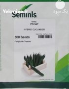 بذر خیار رویال اصلاح شده مناسب در مشهد در گروه خرید و فروش بذر خیار در یکمیوه