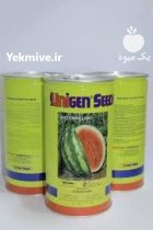 بذر هندوانه یونی ژن اصلاح شده در کرمان در گروه خرید و فروش بذر هندوانه در یکمیوه