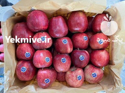 خرید سیب و کیوی در حویق در گروه خرید و فروش کیوی در یکمیوه -عکس1