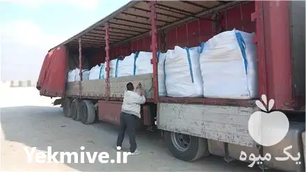 حق العمل کار حمل نقل بین در لطف آباد در گروه حمل و نقل بین المللی در یکمیوه -عکس1